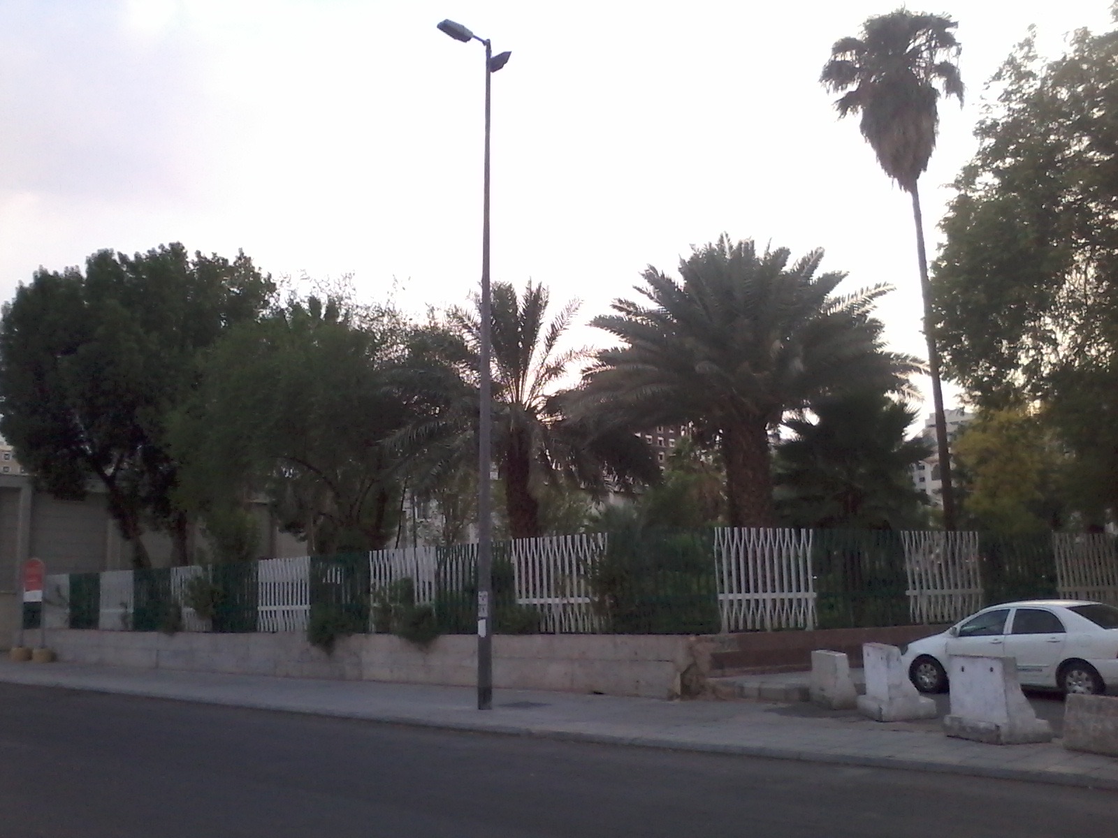 سقيفة بني ساعدة